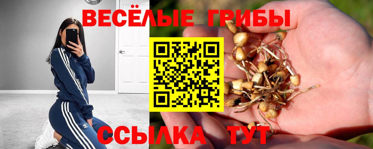 Галлюциногенные грибы ЛСД  Вход с VPN  Джанкой  Галлюциногенные грибы MAGIC MUSHROOMS 